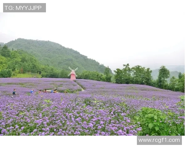 20岁弟媳初到欧洲遭重病险丧命回乡后重拾人生新篇章