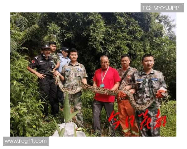 库尔图瓦谈老鼠事件表示绝不会伤害小动物将其安全放生 库尔图瓦谈老鼠事件表示绝不会伤害小动物将其安全放生