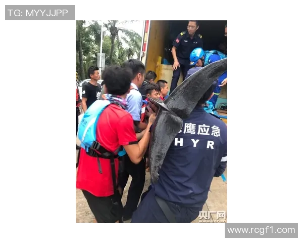 医学专家警告DV9伤复发风险大强烈建议优先考虑非手术治疗方案